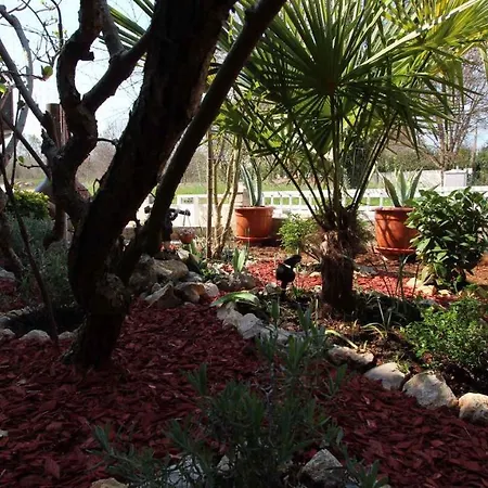 Appartamento In Malinska/insel Krk 27336